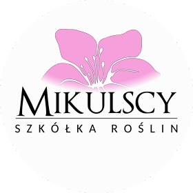 Mikulscy logo