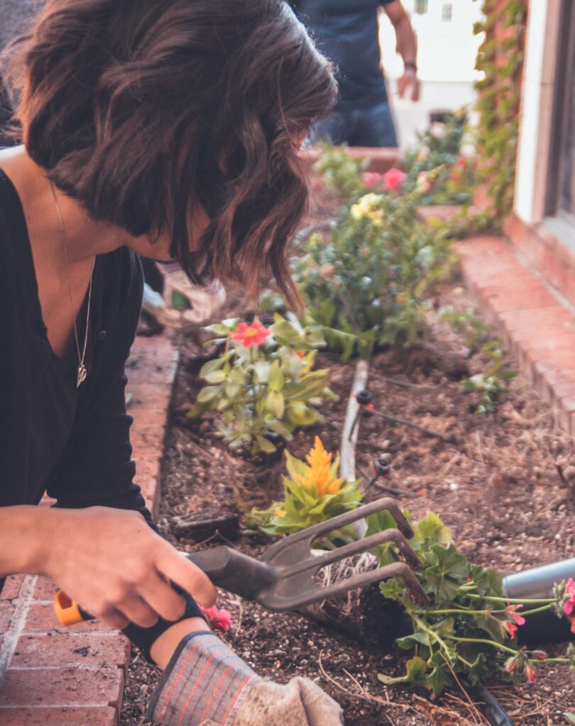 Obraz kobieta sadzi kwiatki